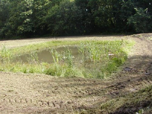 Žabí jezírko