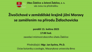 Beseda