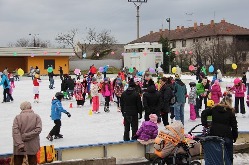 Karneval na ledě 2015