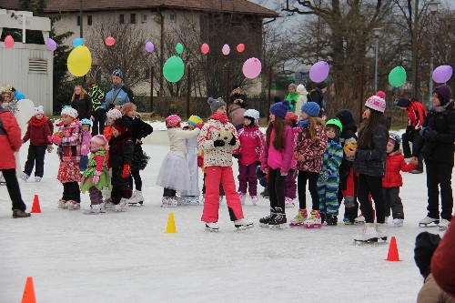 Karneval na ledě 2015